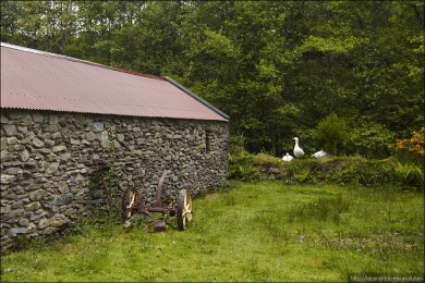 Traditional Irish Farm