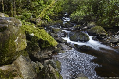 Killarney National Park. Torc Waterfall